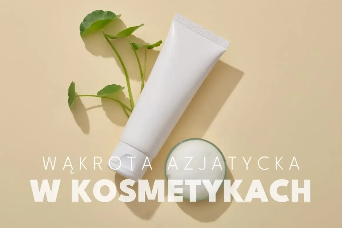 Biała tubka kosmetyku i gałązka z listkami wąkroty azjatyckiej na beżowym tle. Napis: "Wąkrota azjatycka w kosmetykach".